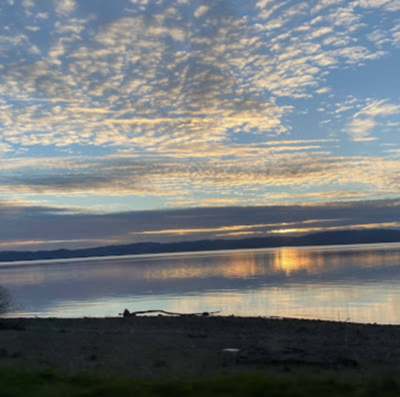 Meet your Posher, Sanchez707 - Picture 1 of 1